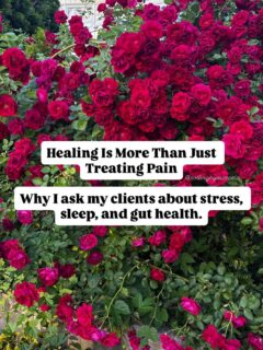 Pain isn’t always just a structural problem.

Stress, sleep quality, gut health, inflammation, and nervous system regulation all play a role in how we feel and how we heal. As a Rolfer, I believe lasting results come from looking at the whole person—not just the area that hurts.

Healing is complex, but that’s also what makes it powerful. The small choices we make every day add up.

You are a mind, a body, and a spirit. Take care of all three.

#Rolfing #StructuralIntegration #ChronicPain #PainRelief #HolisticHealth FunctionalMovement Inflammation GutHealth NervousSystem MindBodyConnection WellnessJourney MovementTherapy HealthOptimization PostureMatters HealingJourney